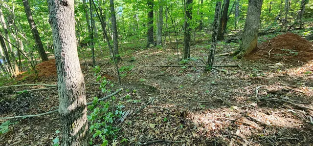 $12,500 | Lot 71 Serpentine Drive, Columbus, NC 28722