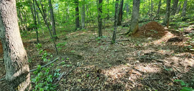 $12,500 | Lot 71 Serpentine Drive, Columbus, NC 28722