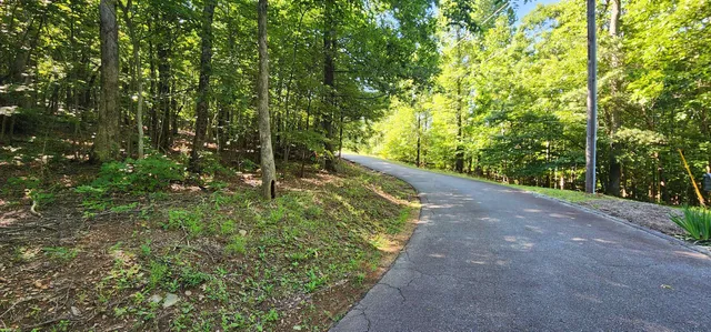 $12,500 | Lot 71 Serpentine Drive, Columbus, NC 28722