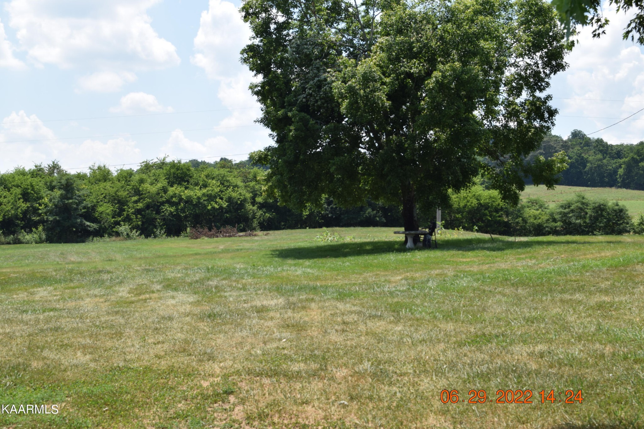 2333 Stapleton Road New Market, TN 37820 - Photo 27 of 27 a view of outdoor space with deck and yard