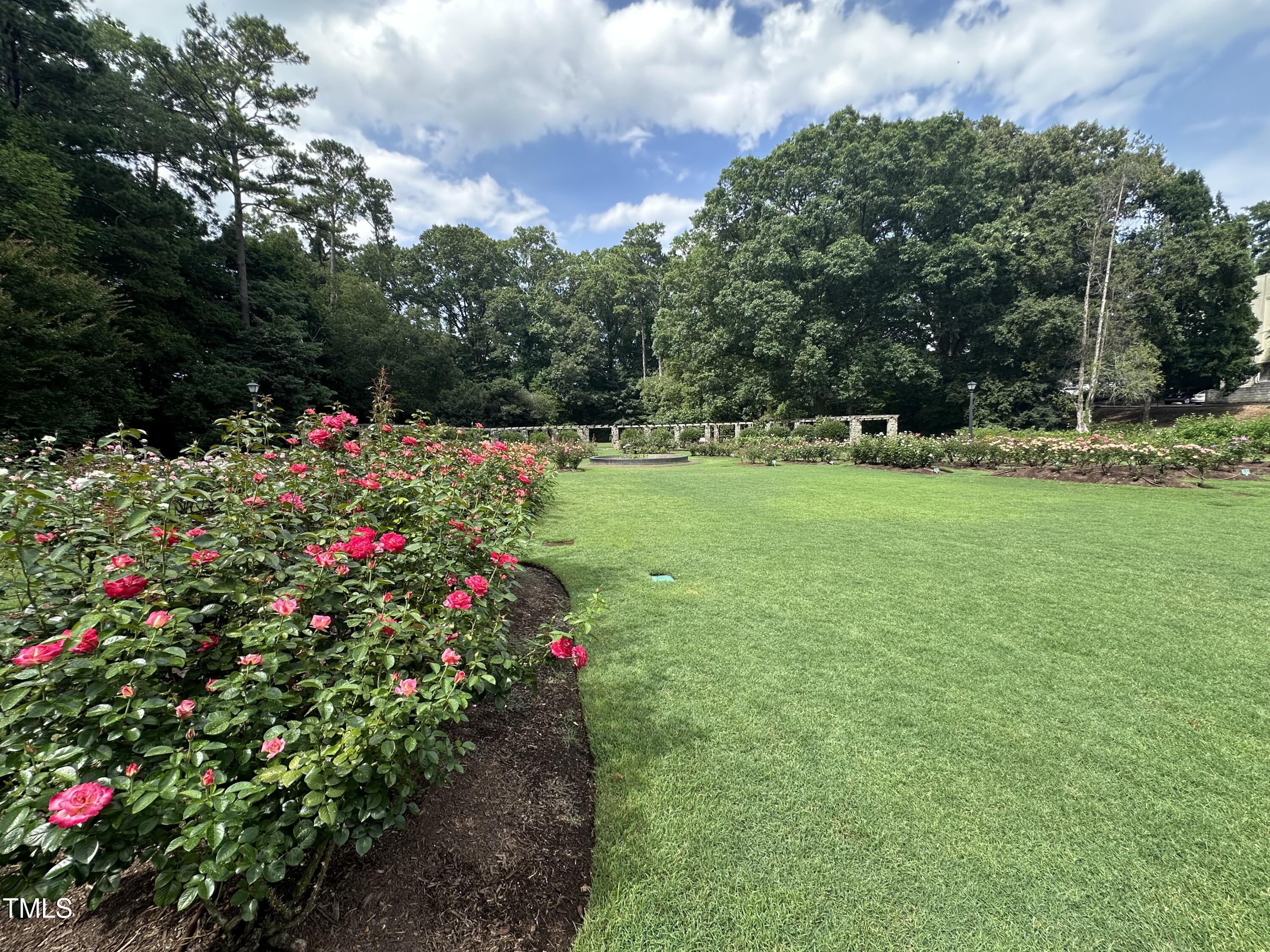 3302.5 Hall Place Raleigh, NC 27607 - Photo 8 of 49 IMG_8117