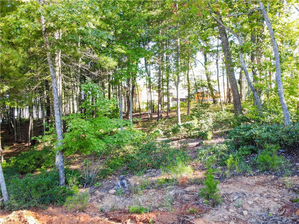3744 North Powerhouse Road Nebo, NC 28761 - Photo 12 of 37 Gallery Image 12