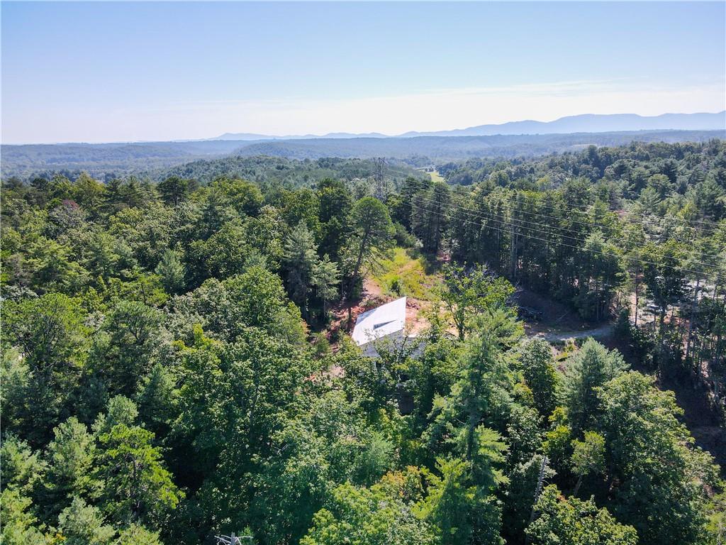 3744 North Powerhouse Road Nebo, NC 28761 - Photo 6 of 37 Gallery Image 6