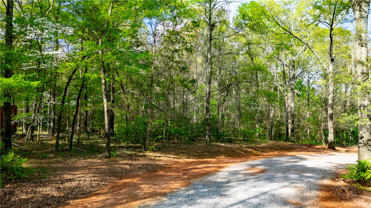 57 Fisher Jenkins Road Anderson, SC 29625 - Photo 4 of 9