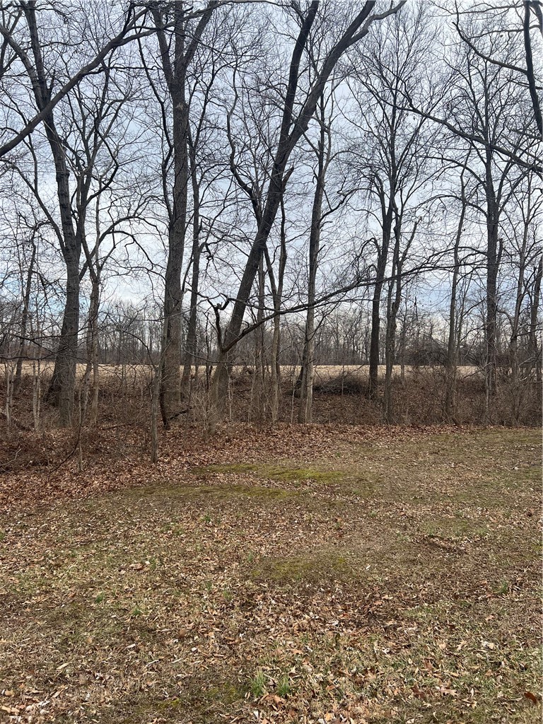 13031 East 225th Road Paris, IL 61944 - Photo 19 of 24