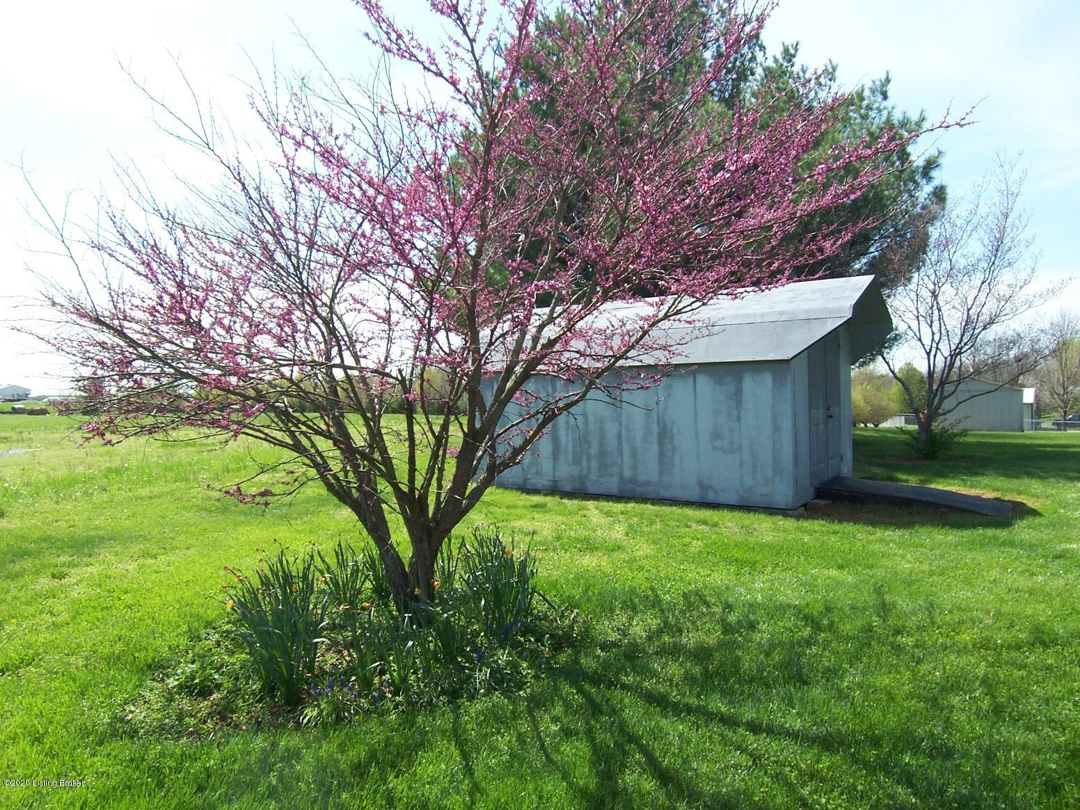 319 Manton Road Bardstown, KY 40004 - Photo 32 of 35 28