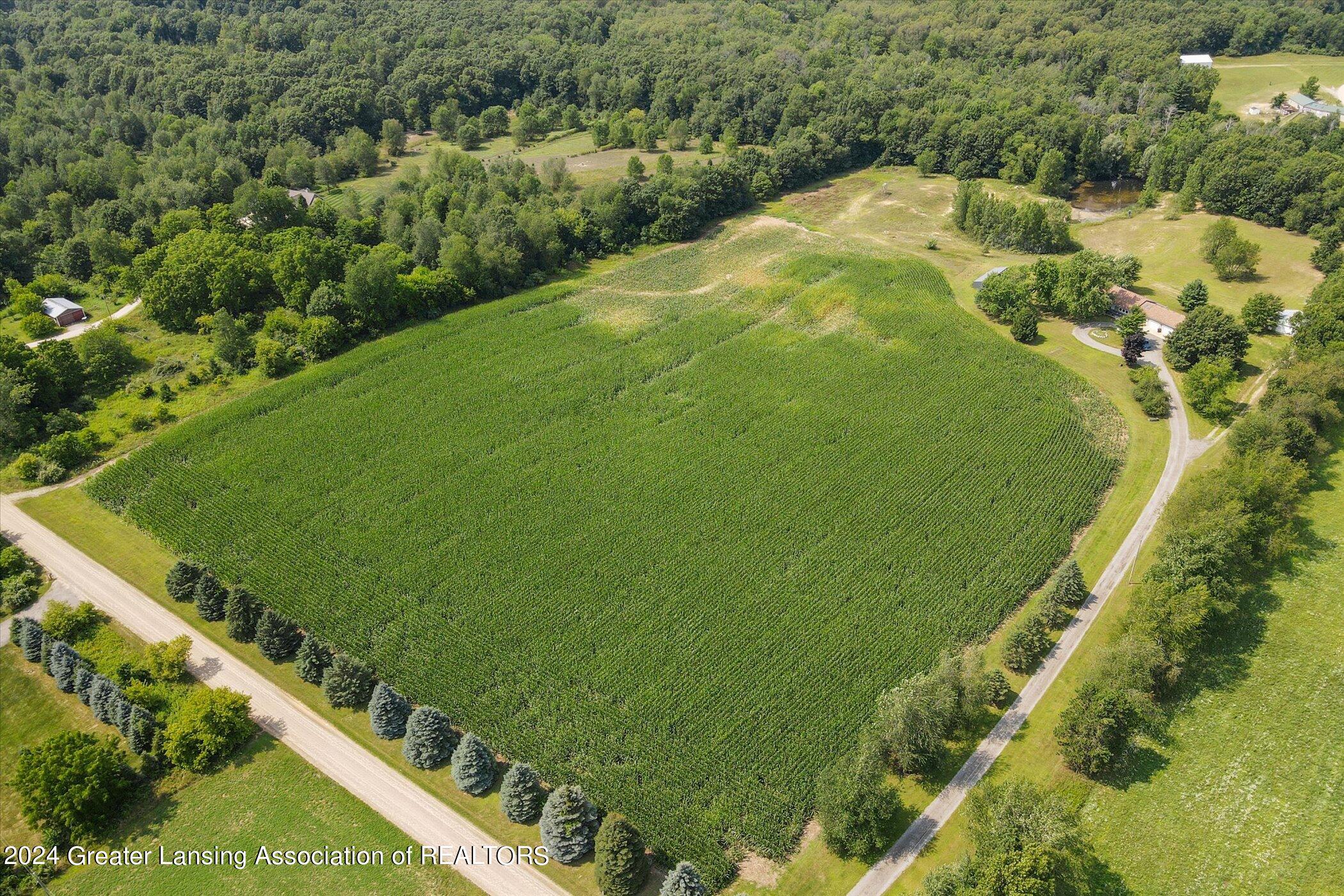 6396 Ostrum Road Belding, MI 48809 - Photo 48 of 69 54-6396-Ostrum-Rd-Belding-MI-48809-Windo