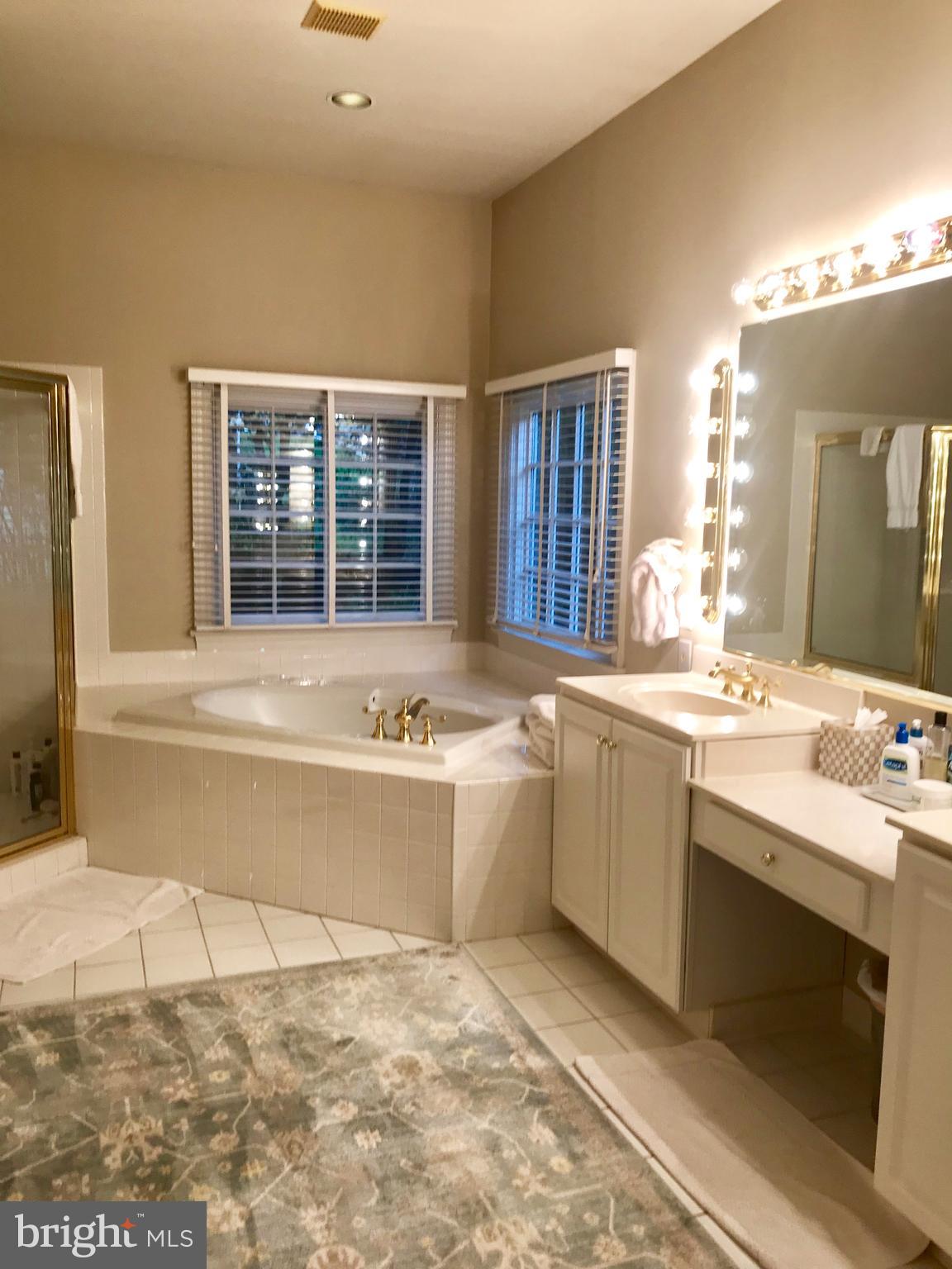 7405 Old Maple Square McLean, VA 22102 - Photo 11 of 25 Primary Bath on Main Level