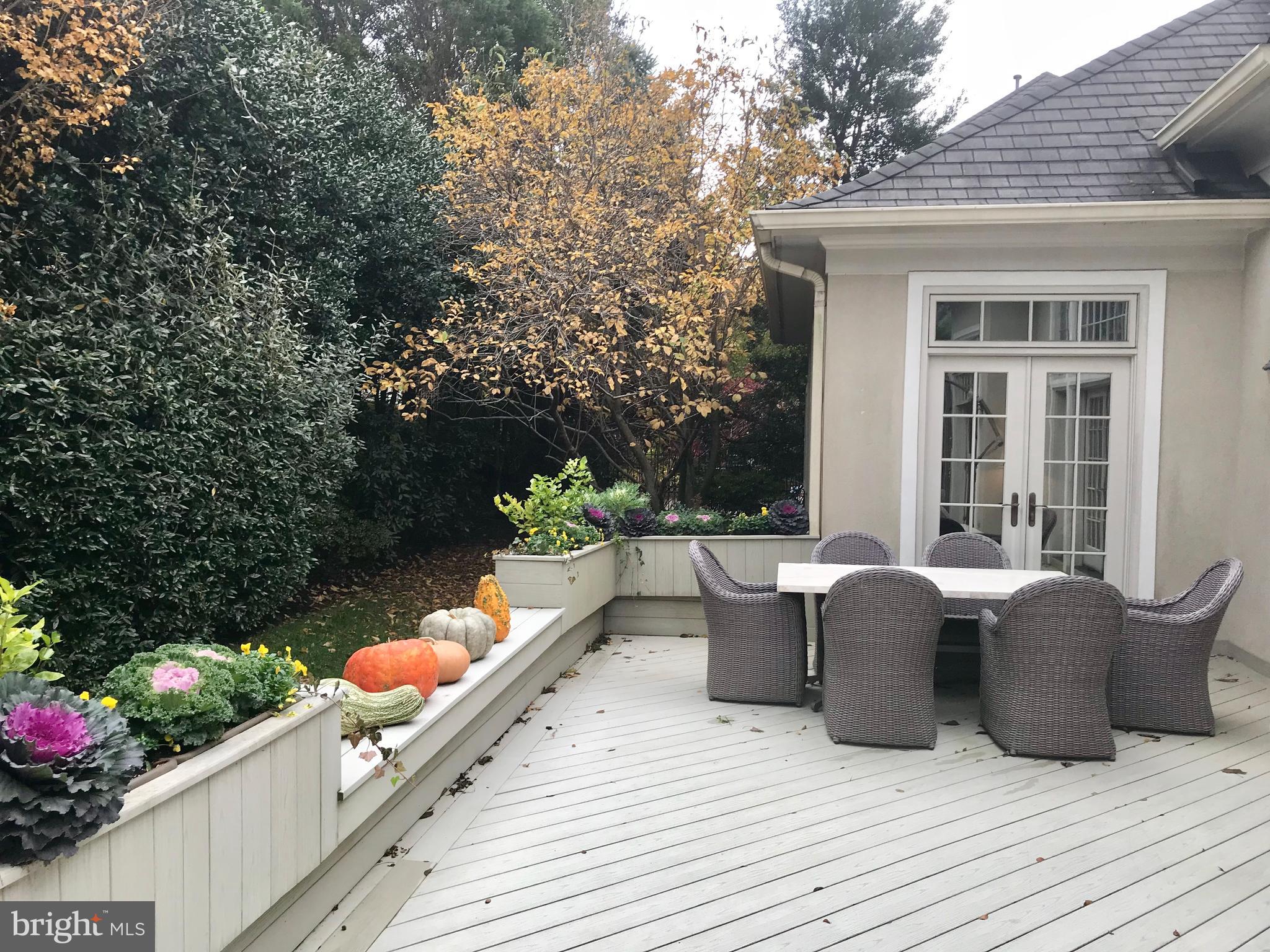 7405 Old Maple Square McLean, VA 22102 - Photo 19 of 25 Beautiful Deck / Rear Yard