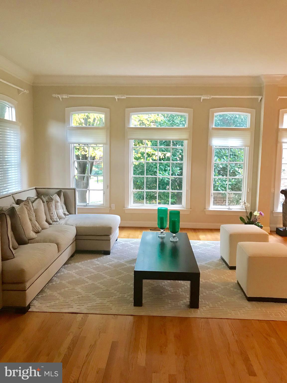 7405 Old Maple Square McLean, VA 22102 - Photo 3 of 25 Living Room