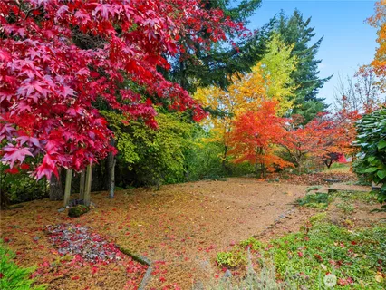 a view of a flower in a yard