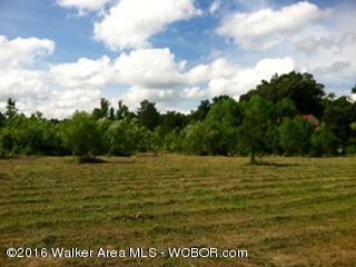 Crestview Road Cordova, AL 35550 - Photo 15 of 15 Gallery Image 15