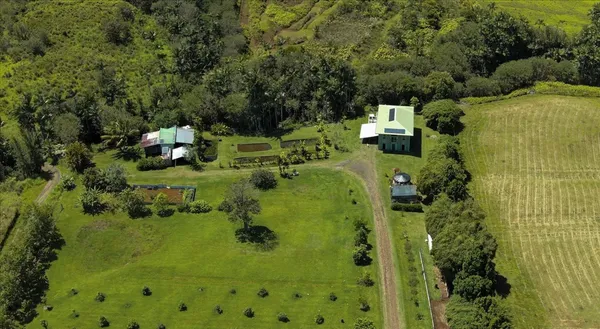 $1,299,000 | 29-2612 Kaiwiki-Homestead Road, Papaikou, HI 96781