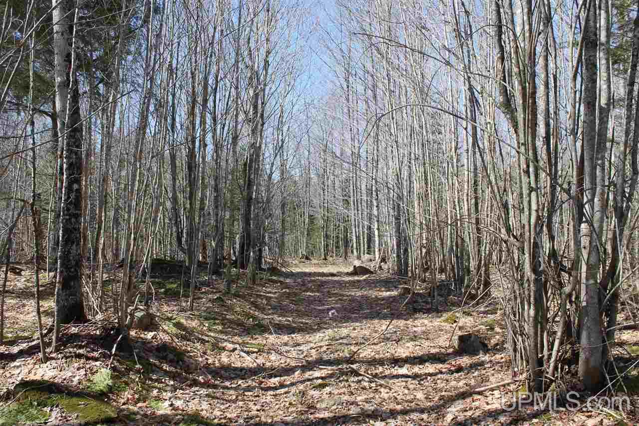 Tbd Tbd Trail Road, Unit 300 Deerton, MI 49822 - Photo 6 of 6