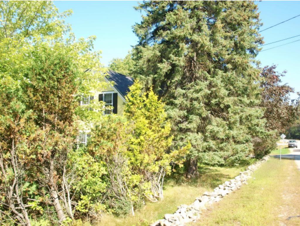 229 Lancaster Road Whitefield, NH 03598 - Photo 34 of 36