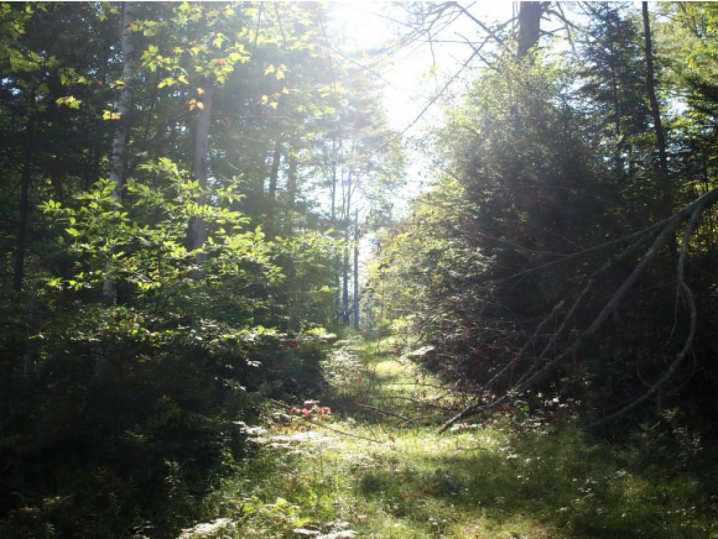 229 Lancaster Road Whitefield, NH 03598 - Photo 36 of 36