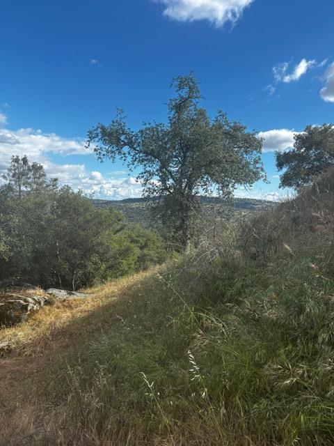 4 Powder Horn Way Coarsegold, CA 93614 - Photo 17 of 23
