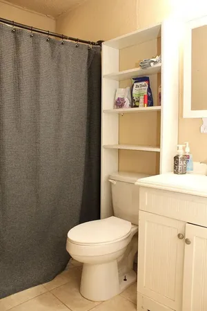 a bathroom with a toilet and a shower curtain