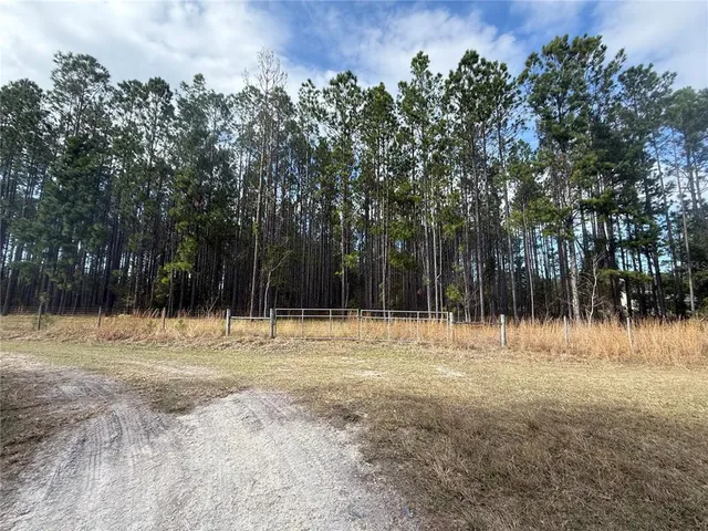 $199,000 | 0 Southwest Sr 121 Lake, Lake Butler, FL 32054