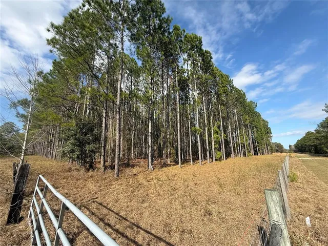 $199,000 | 0 Southwest Sr 121 Lake, Lake Butler, FL 32054