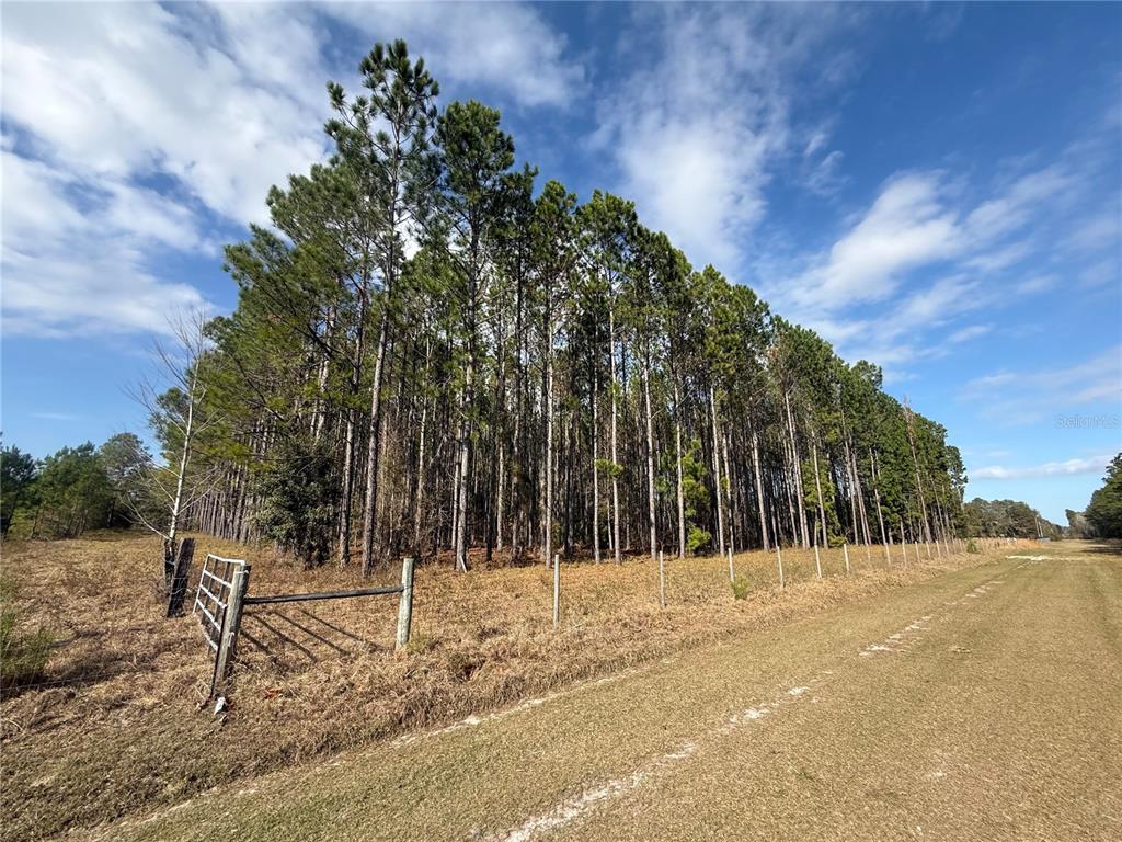 0 Southwest Sr 121 Lake Lake Butler, FL 32054 - Photo 6 of 13