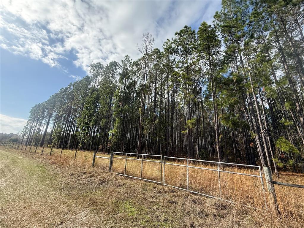 0 Southwest Sr 121 Lake Lake Butler, FL 32054 - Photo 7 of 13 a view of a tennis court