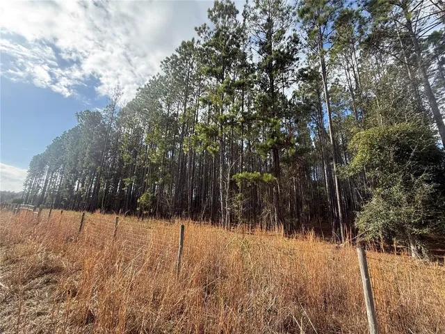 $199,000 | 0 Southwest Sr 121 Lake, Lake Butler, FL 32054