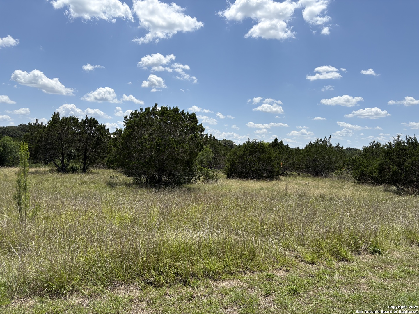 Lot 43 Saddle Tree Bandera, TX 78003 - Photo 2 of 10