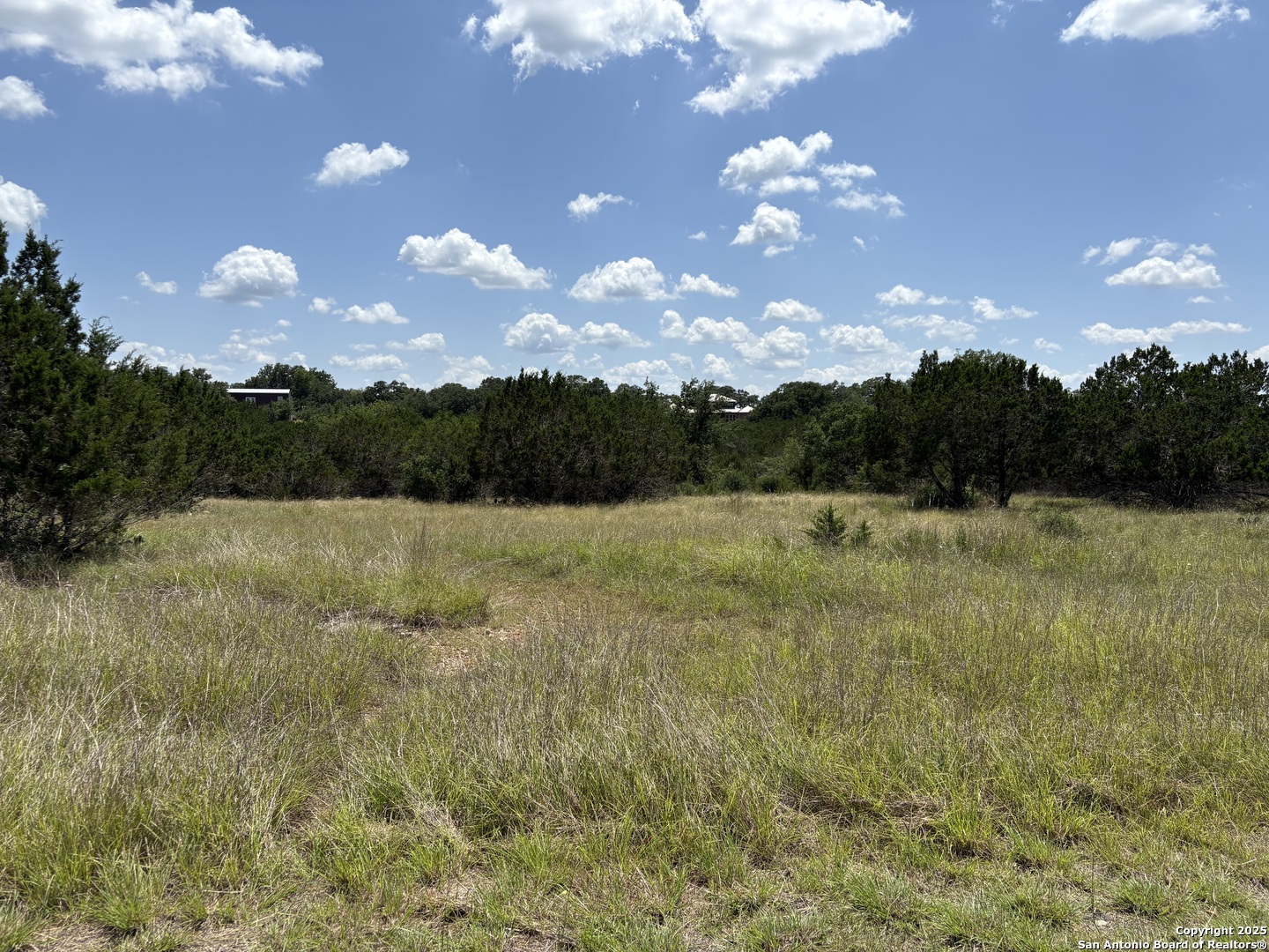 Lot 43 Saddle Tree Bandera, TX 78003 - Photo 3 of 10