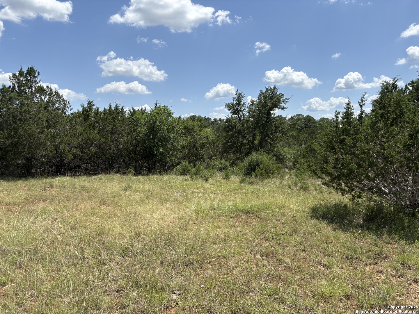 Lot 43 Saddle Tree Bandera, TX 78003 - Photo 4 of 10