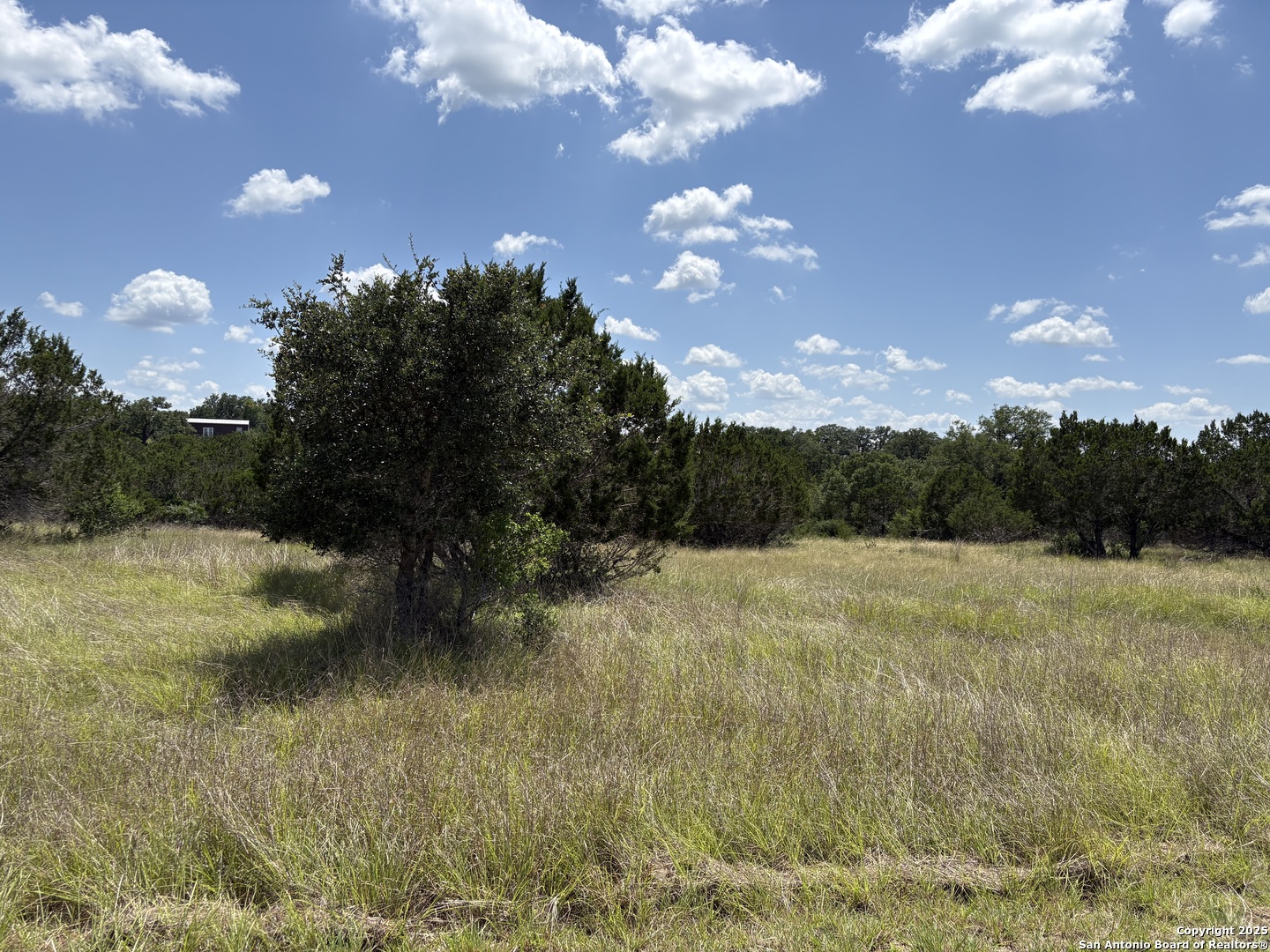 Lot 43 Saddle Tree Bandera, TX 78003 - Photo 5 of 10