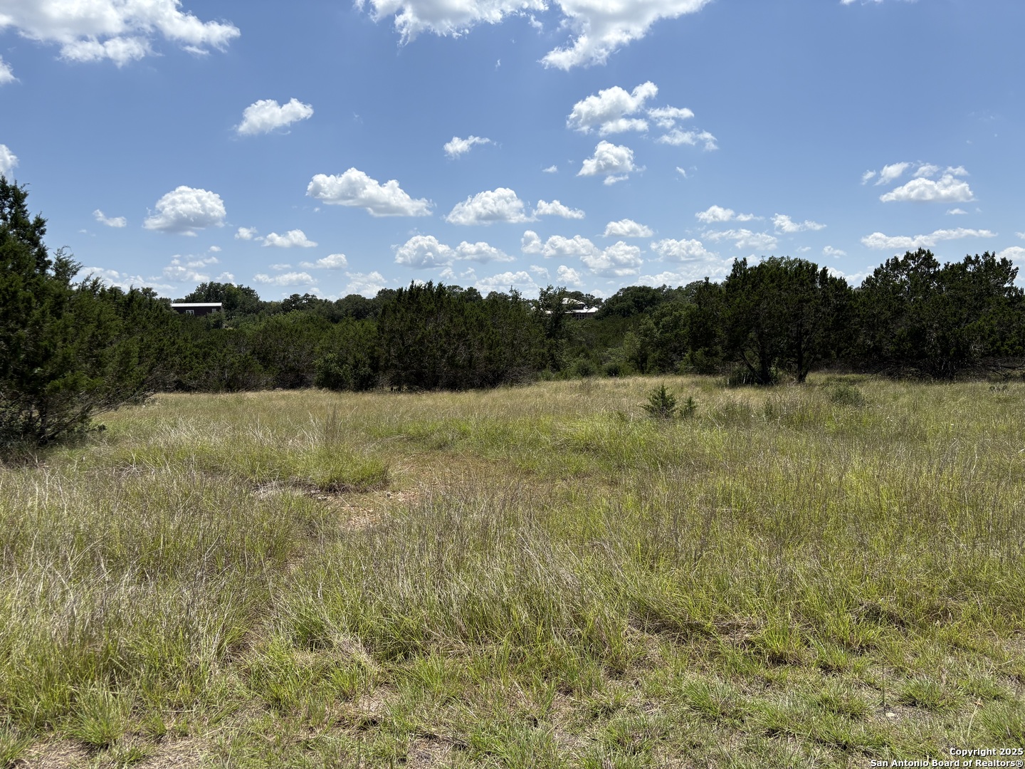 Lot 43 Saddle Tree Bandera, TX 78003 - Photo 6 of 10