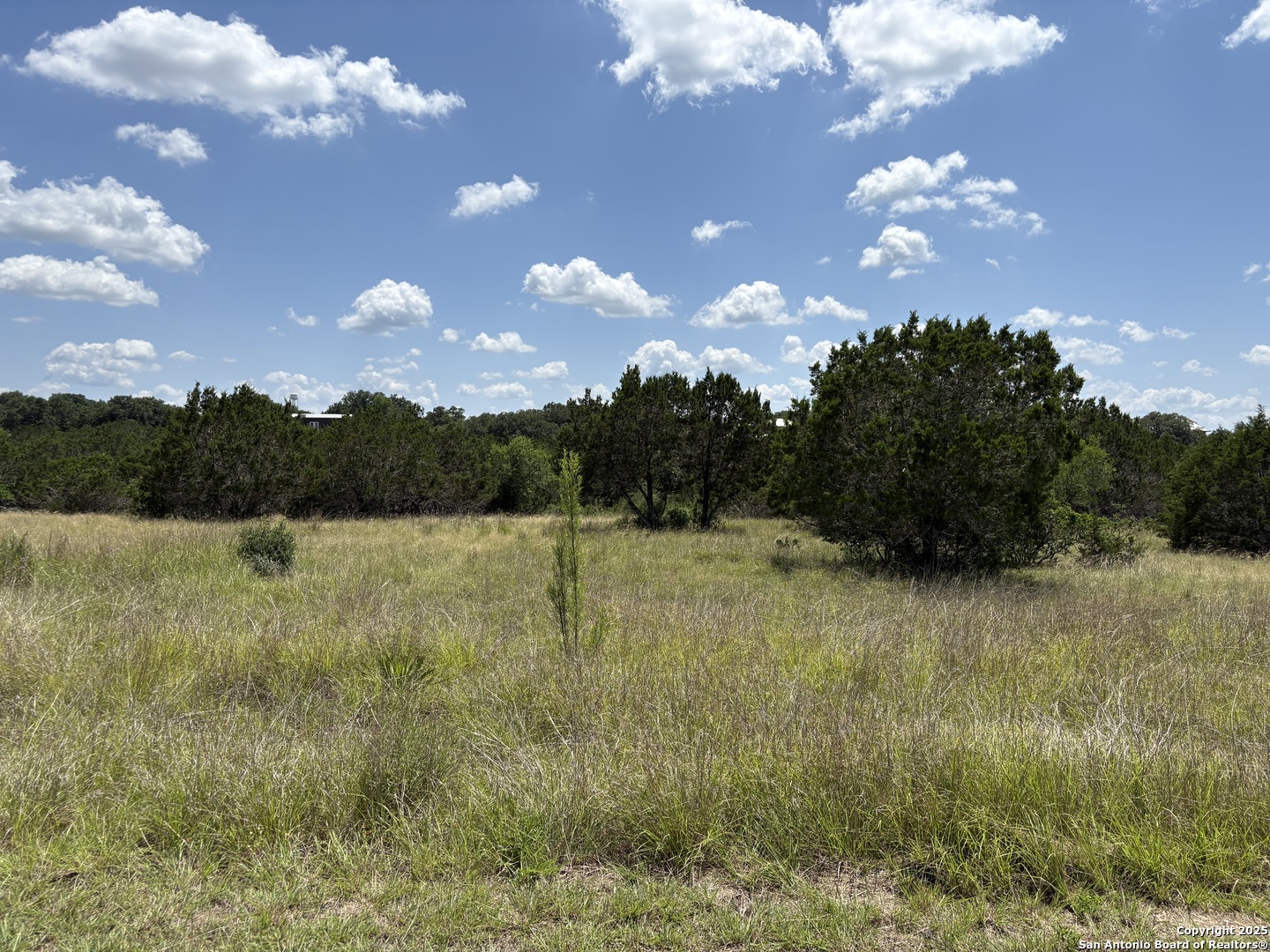 Lot 43 Saddle Tree Bandera, TX 78003 - Photo 7 of 10