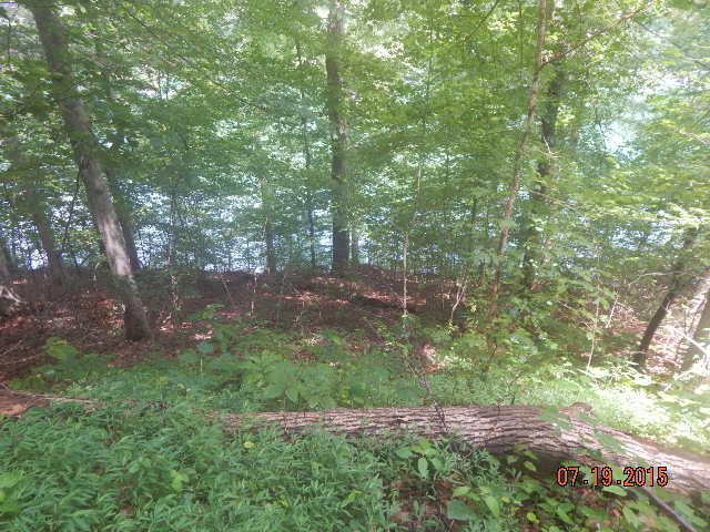 43 Jessee Road Maynardville, TN 37807 - Photo 1 of 4 jessee road pic 1