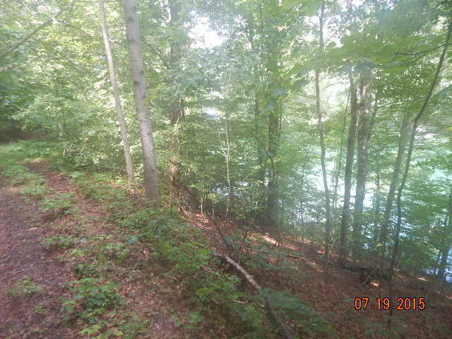 43 Jessee Road Maynardville, TN 37807 - Photo 2 of 4 jessee road pic 2