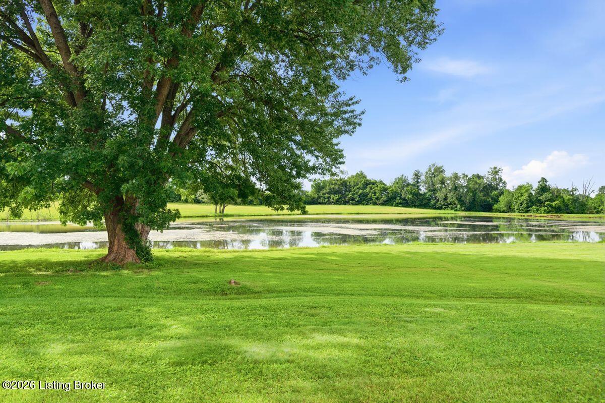 503 East Blue Jay Road Louisville, KY 40229 - Photo 2 of 39 Private lake behind property