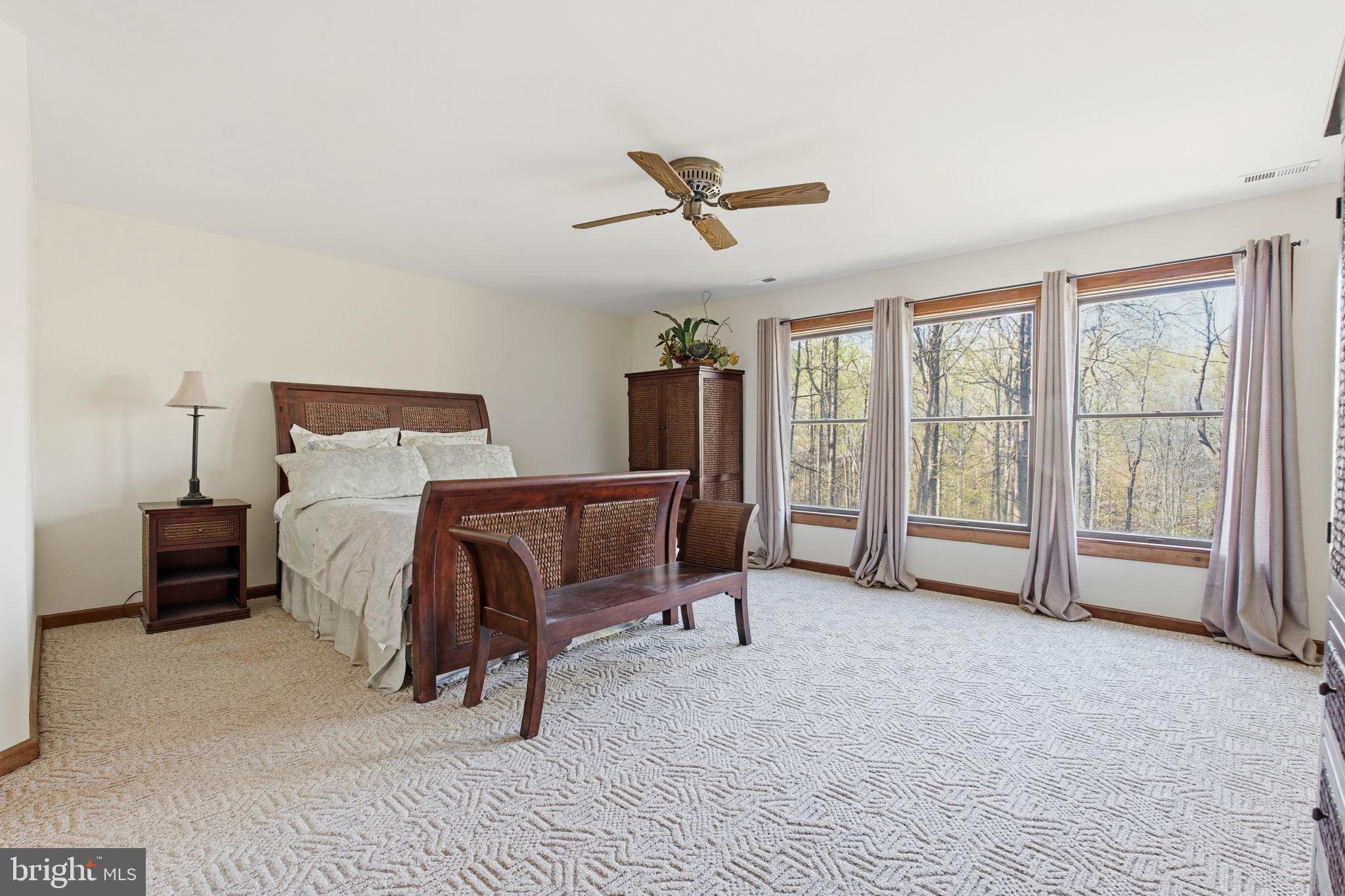 260 Grays Road Lothian, MD 20711 - Photo 22 of 48 Serene bedroom with nature views.