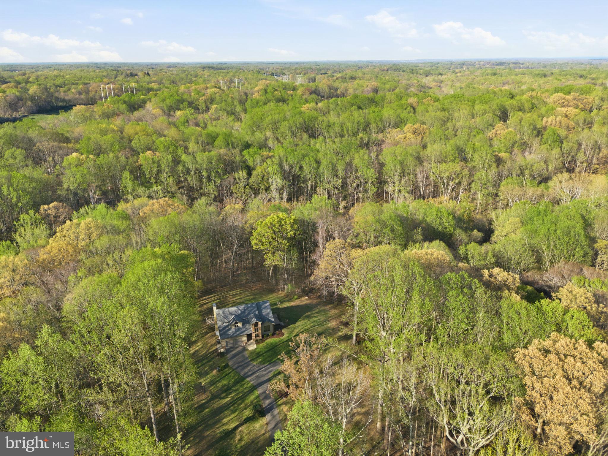 260 Grays Road Lothian, MD 20711 - Photo 4 of 48 Secluded retreat amidst lush greenery.