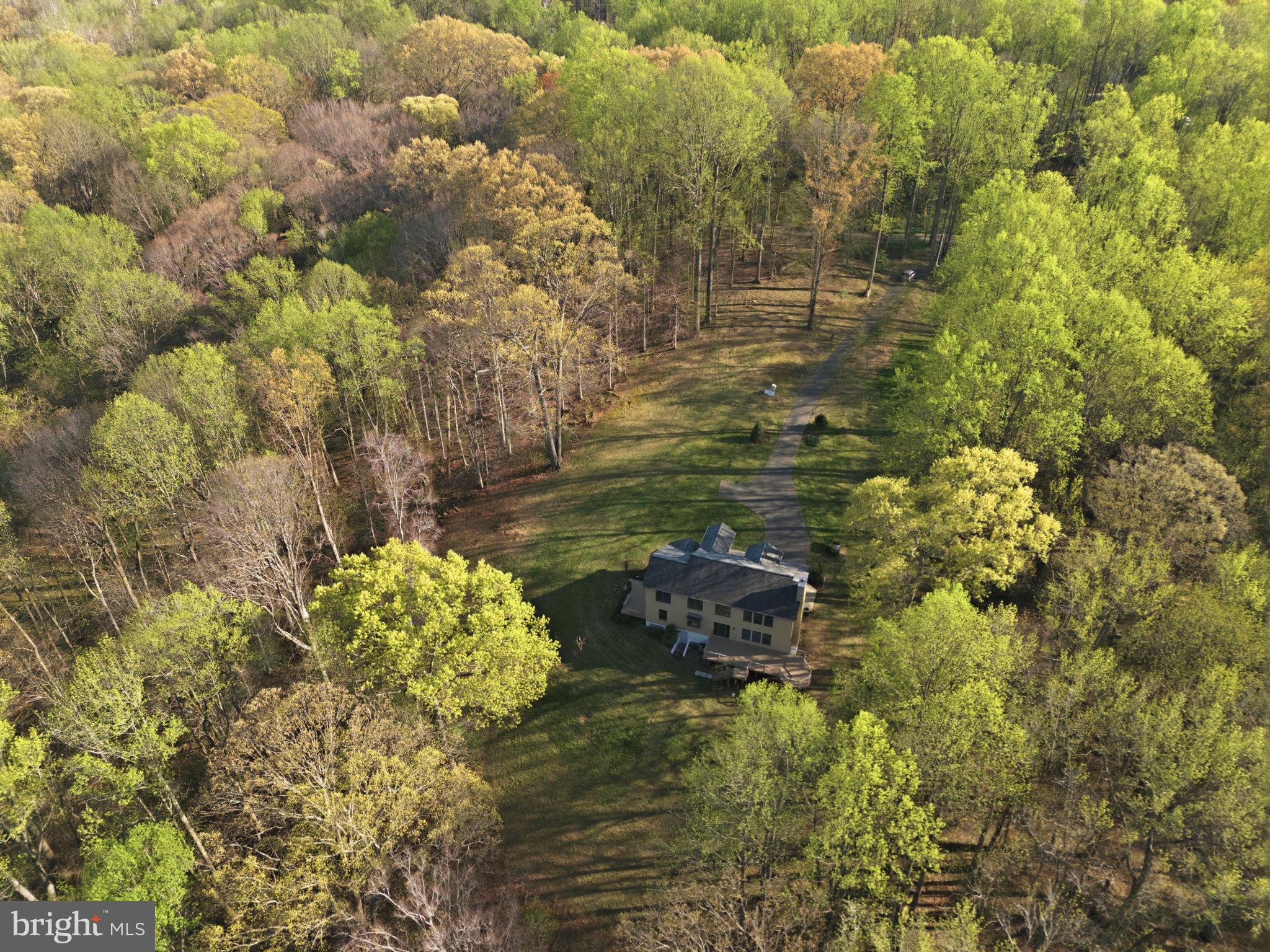 260 Grays Road Lothian, MD 20711 - Photo 43 of 48 Serene retreat amidst lush greenery.
