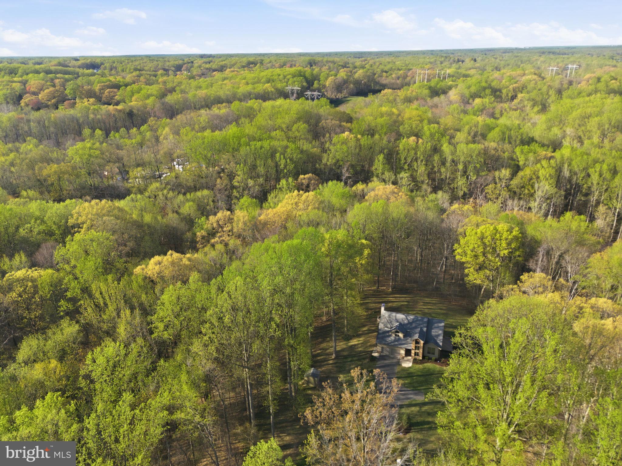 260 Grays Road Lothian, MD 20711 - Photo 45 of 48 Serene retreat amidst lush greenery.