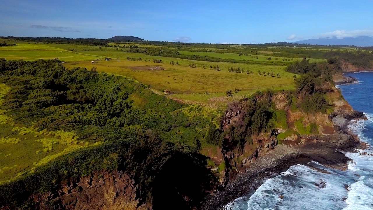 300 Kai Poi Place Haiku, HI 96708 - Photo 15 of 22 a view of an ocean from a yard