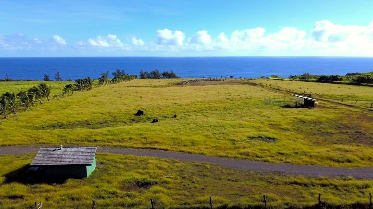 300 Kai Poi Place Haiku, HI 96708 - Photo 21 of 22 a view of an ocean