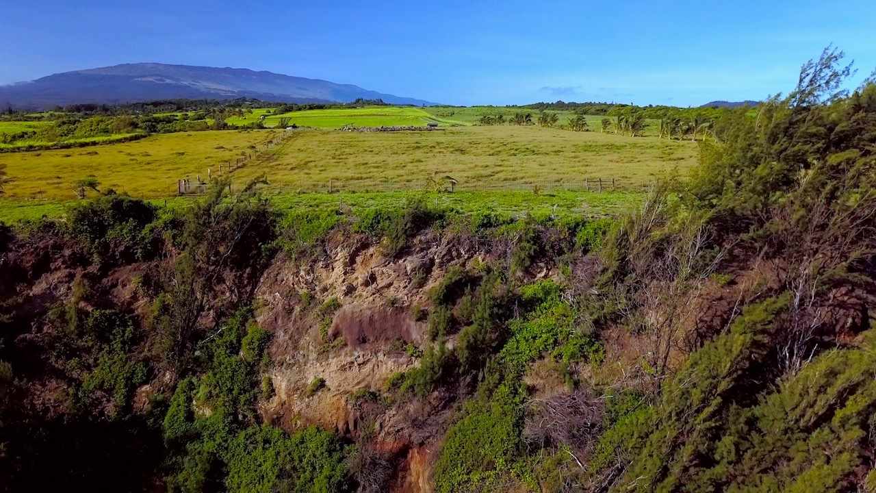 300 Kai Poi Place Haiku, HI 96708 - Photo 22 of 22 a view of a field with an ocean