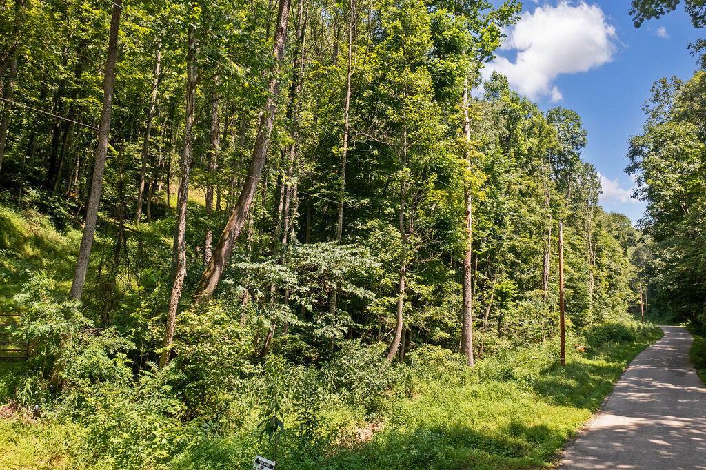 24272 Conrad Road Laurelville, OH 43135 - Photo 16 of 32 16-Road View-1