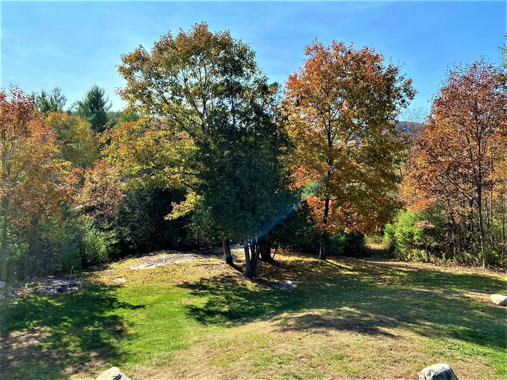 19 Boyle Road Westport, NY 12993 - Photo 52 of 58 Gallery Image 52
