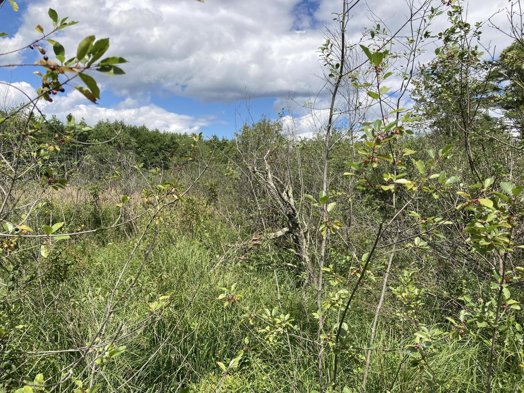 Two 2 Rod Road Gray, ME 04039 - Photo 3 of 6 IMG_0709