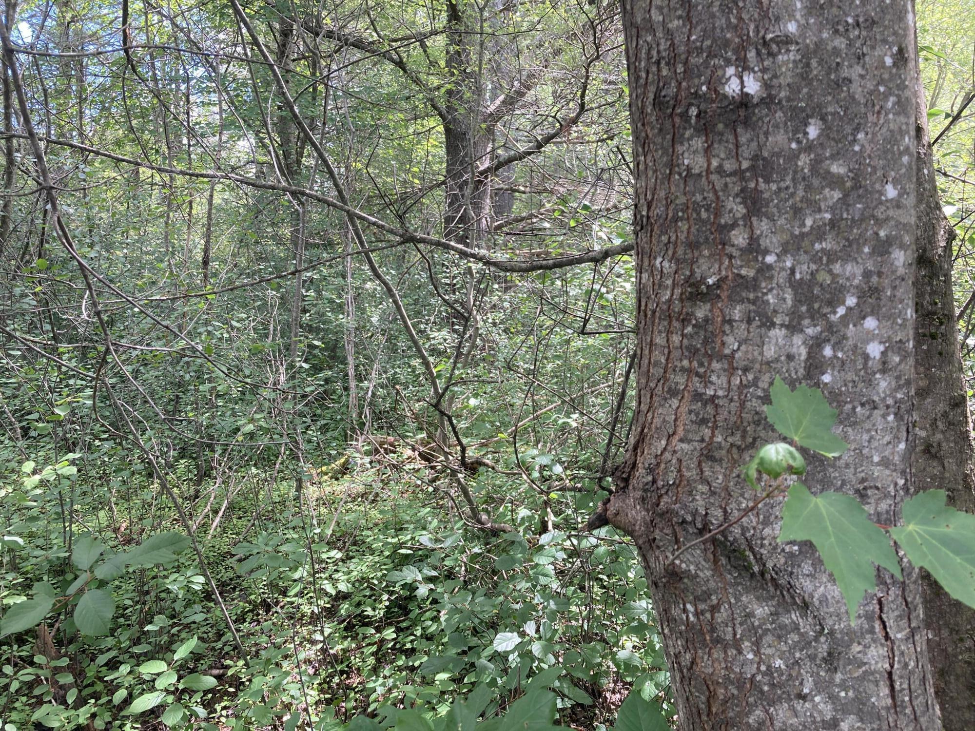 Two 2 Rod Road Gray, ME 04039 - Photo 4 of 6 IMG_0718