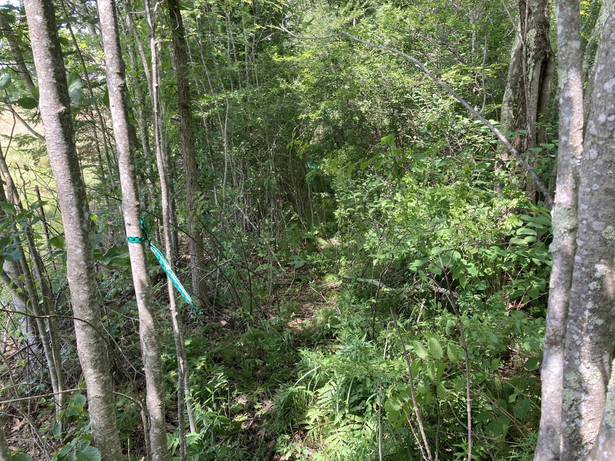 Two 2 Rod Road Gray, ME 04039 - Photo 6 of 6 IMG_0720