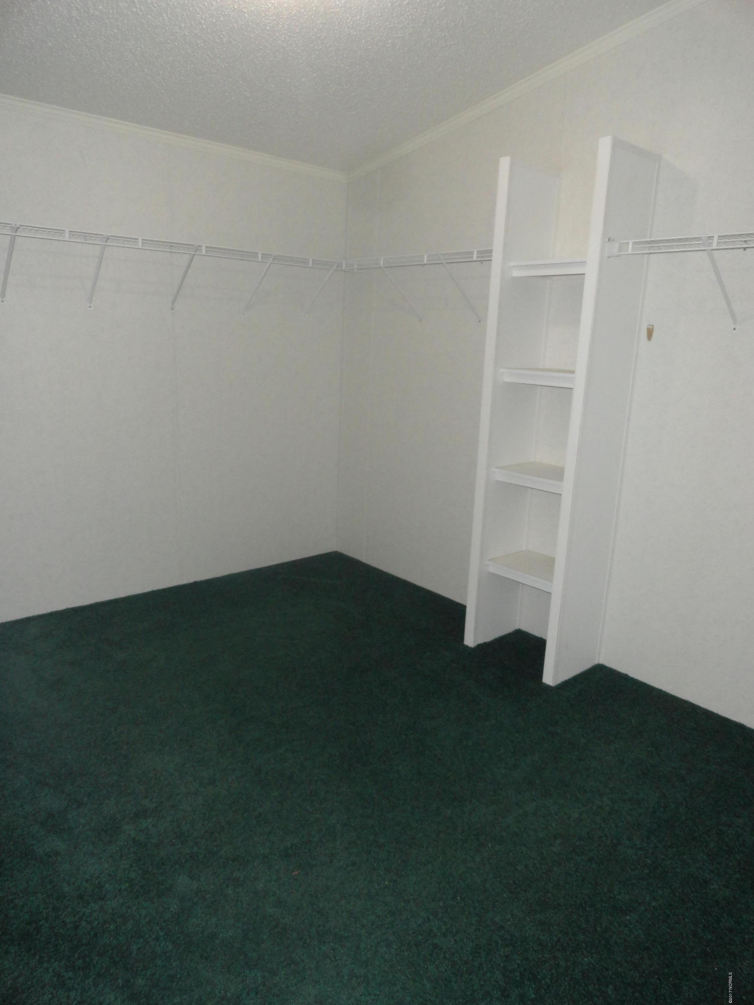 133 Thomas Loop Road Jacksonville, NC 28540 - Photo 13 of 20 DSC04390