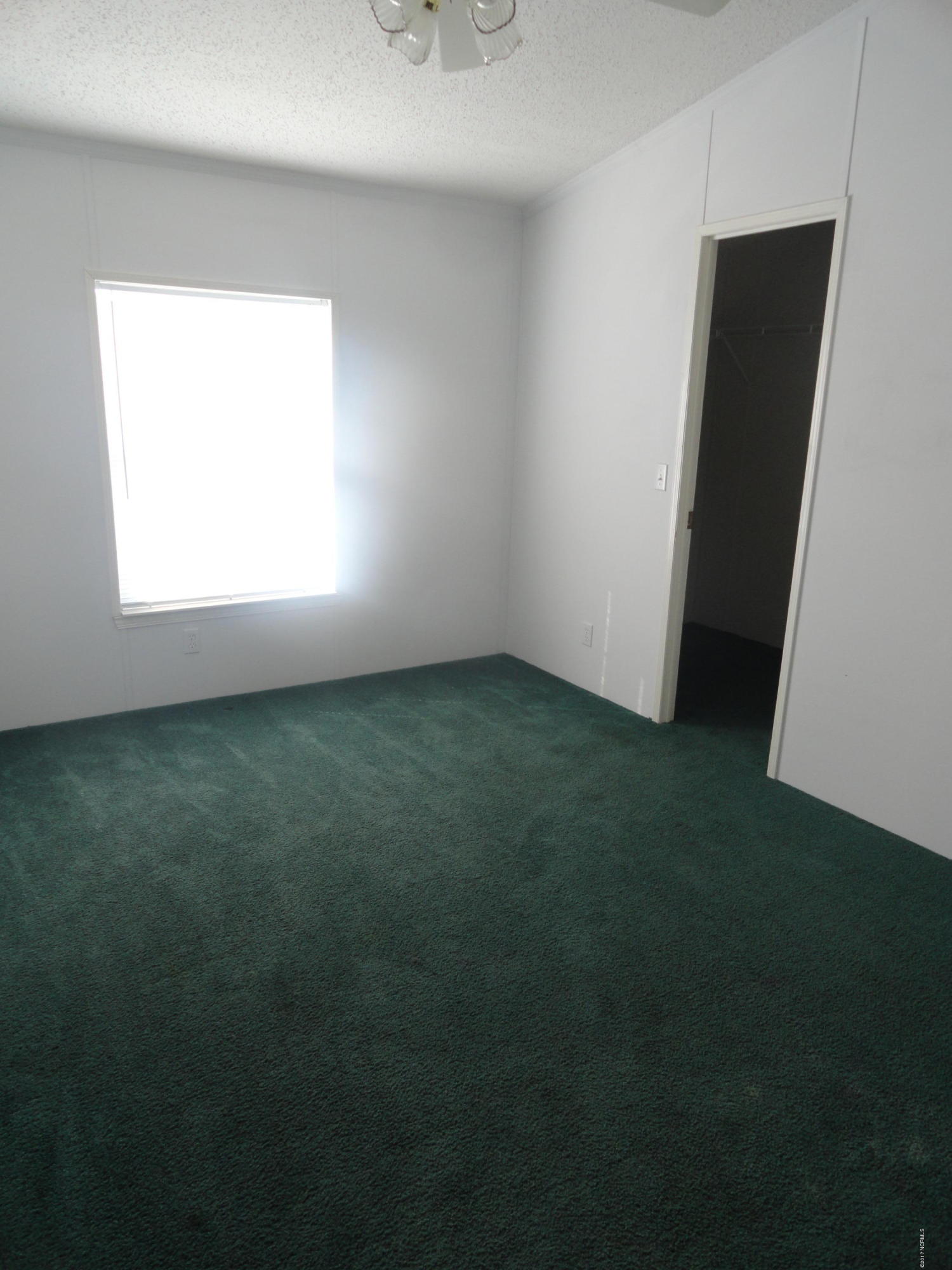 133 Thomas Loop Road Jacksonville, NC 28540 - Photo 15 of 20 DSC04400